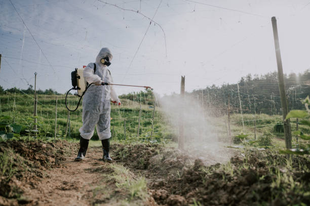 Best Mosquito Control Services  in Falls City, OR