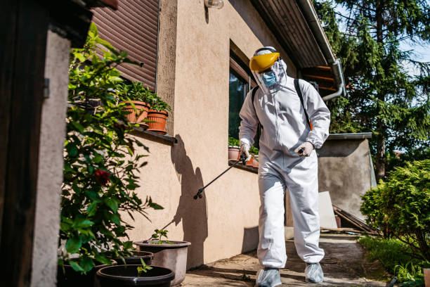 Best Termite Control Services  in Falls City, OR