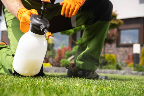 Best Rodent Control Near Me  in Falls City, OR