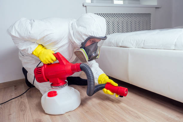 Best Ant Control Services  in Falls City, OR