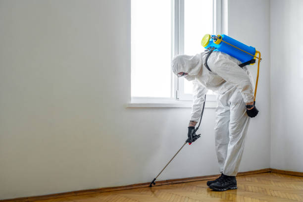 Trusted Falls City, OR Pest Control Experts