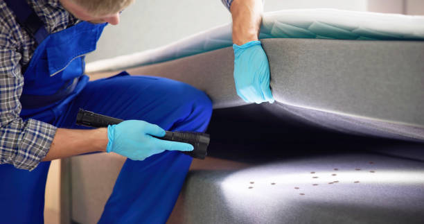 Best Insect Control  in Falls City, OR