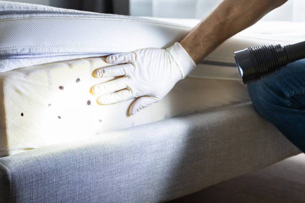Best Pest Prevention Services  in Falls City, OR