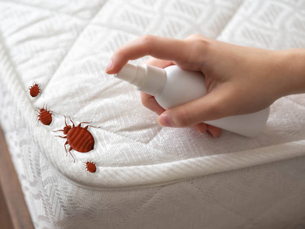 Best Pest Inspection Near Me  in Falls City, OR