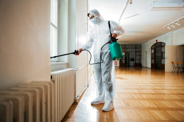 Wasp Removal Services in Falls City, OR